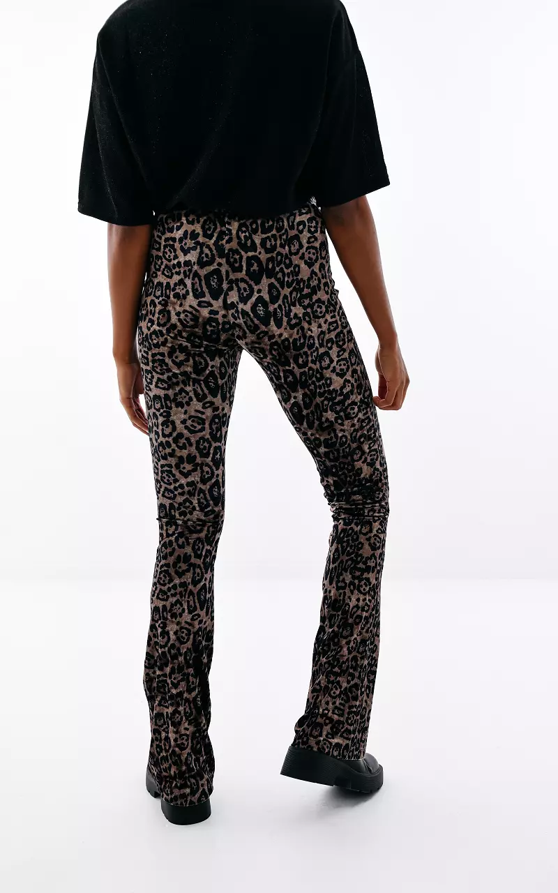 Velvet look flared broek met panterprint Leopard