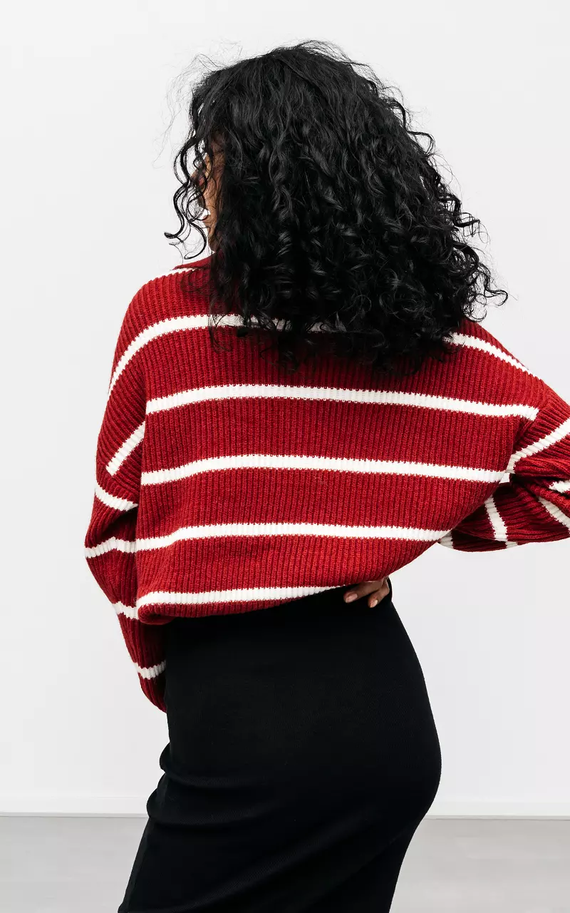 Gestreifter Pullover mit Reißverschluss Rot Weiß