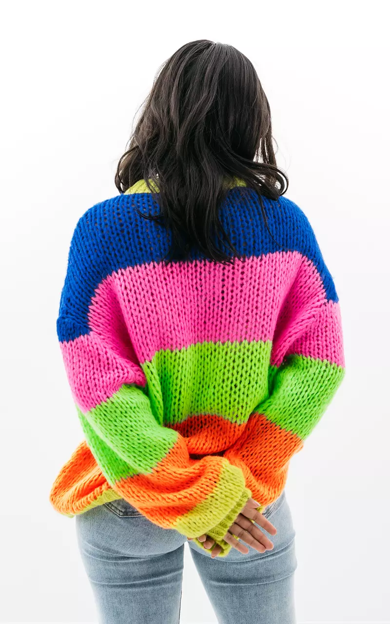 Farbenfroher Pullover mit Rundhalsausschnitt Bunt