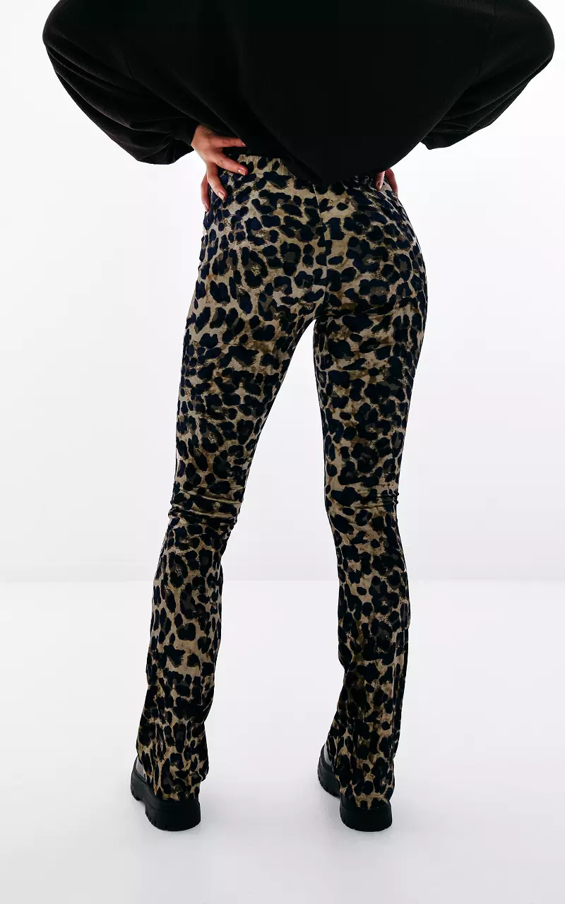 Velvet flared broek Leopard