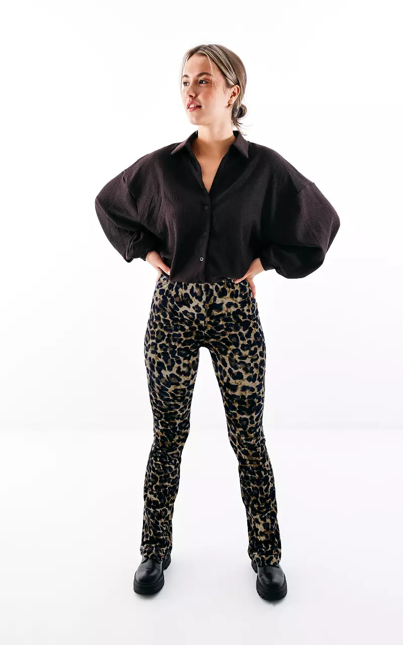 Velvet flared pants Leopard