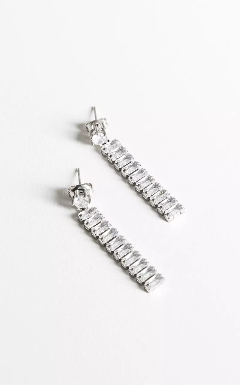 Stainless steel earrings with beads Silver