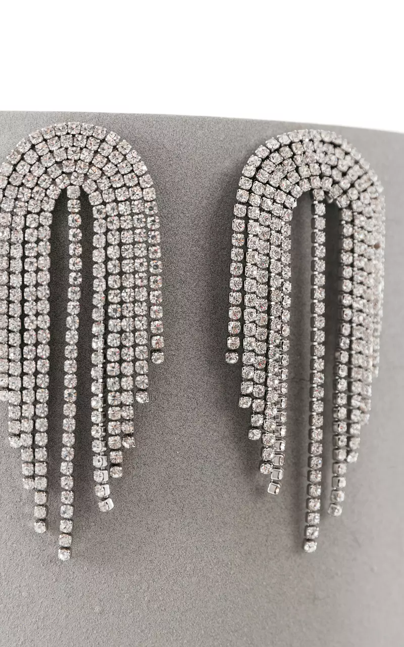 Earrings with rhinestones Silver