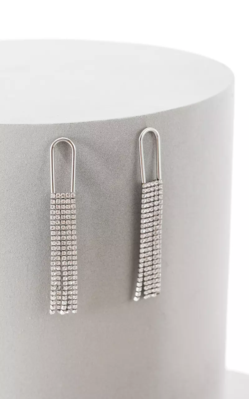 Rhinestone earrings with tassels Silver