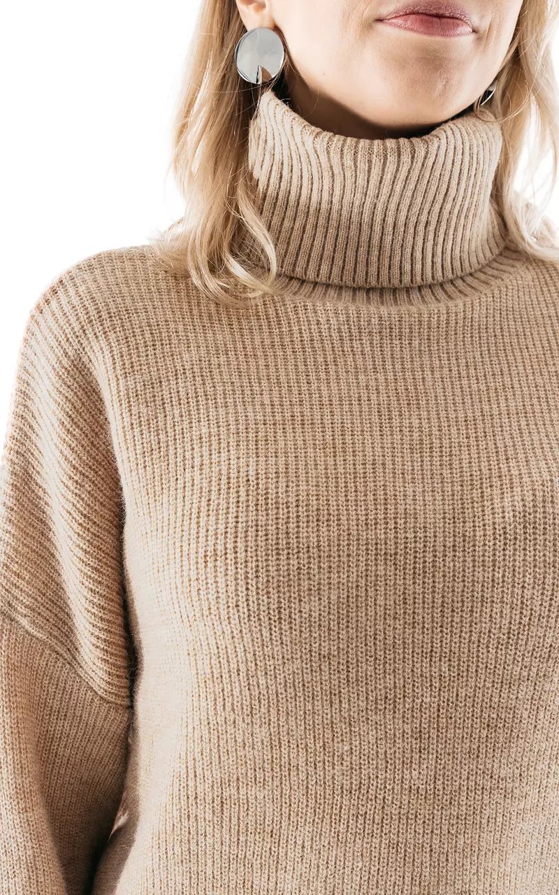 Oversized turtleneck sweater Light Brown