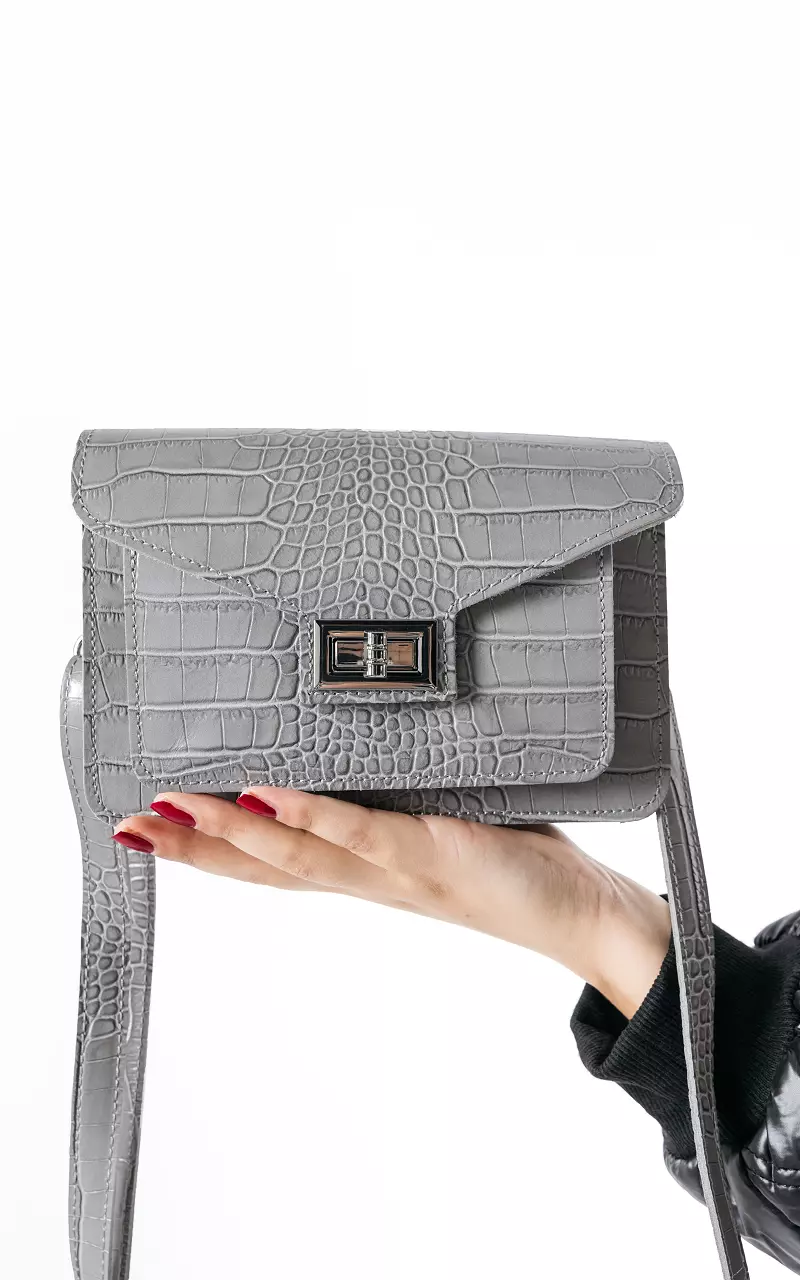 Leather bag with silver-coloured details Grey