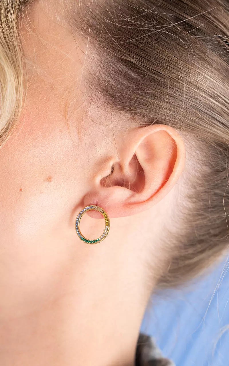 Runde Ohrringe mit Steinchen Gold Bunt