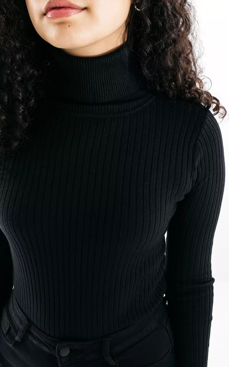 Basic ribbed turtleneck sweater Black