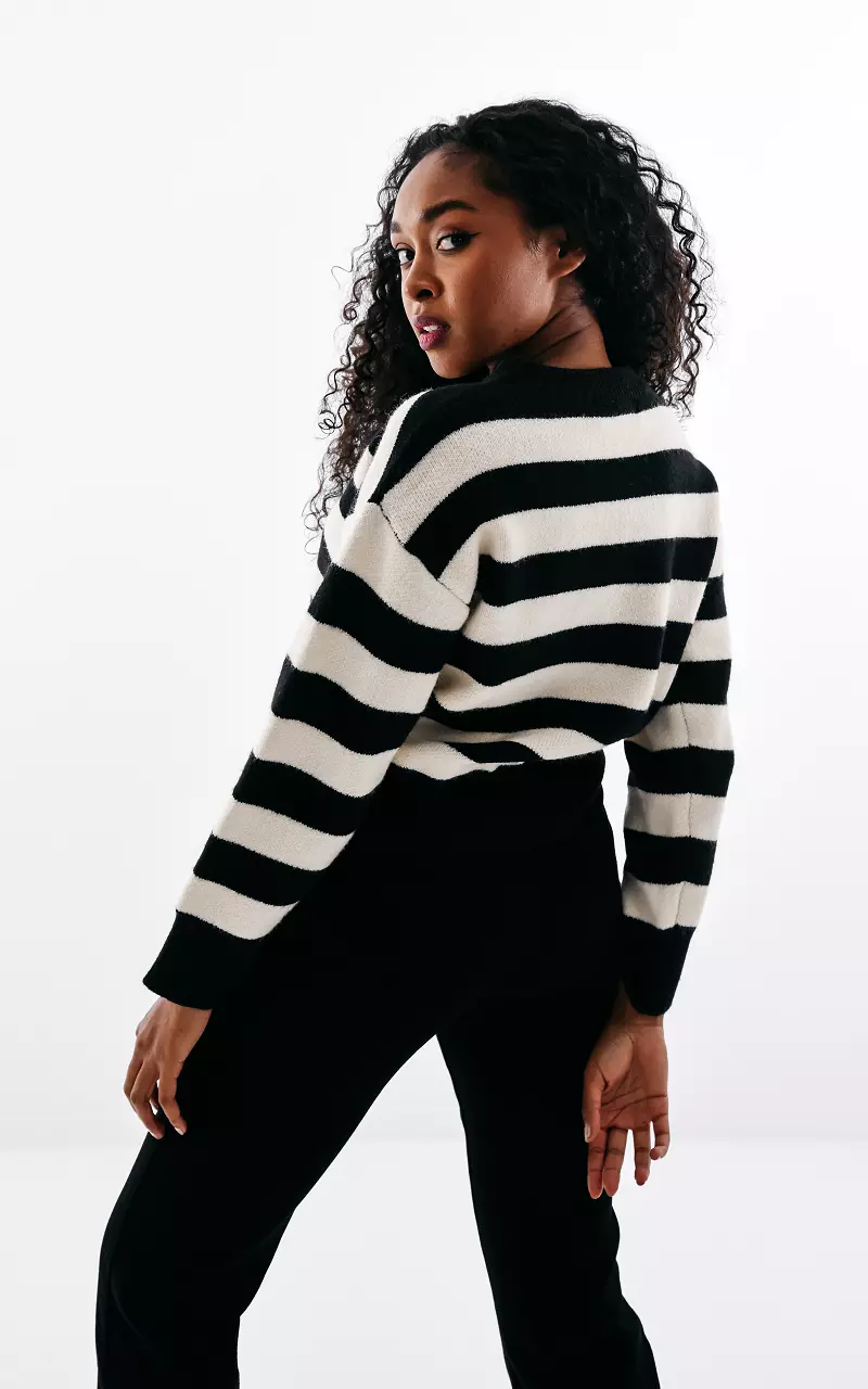 Sweater with stripes and round neck Black Cream