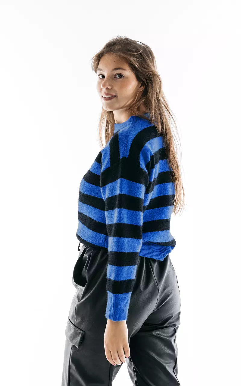 Sweater with stripes and round neck Blue Black