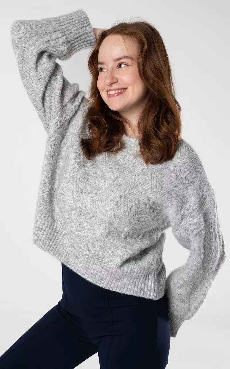 Sweater with round neck Light Grey