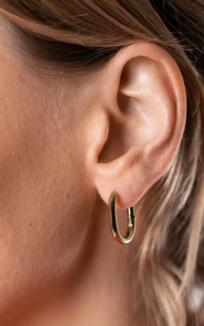 Ovale oorbellen van stainless steel Goud