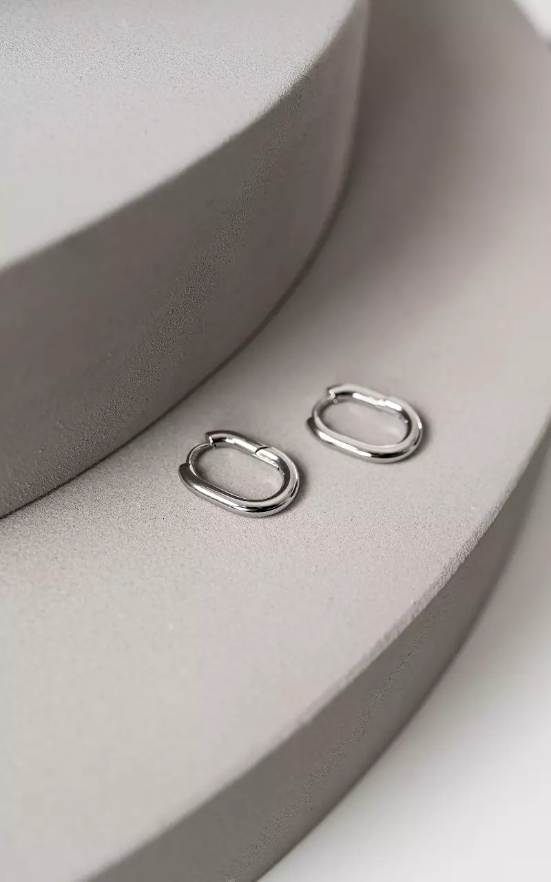 Ovale oorbellen van stainless steel Zilver