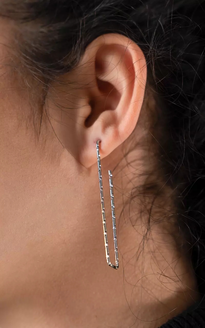 Rechthoekige oorbellen van stainless steel Zilver