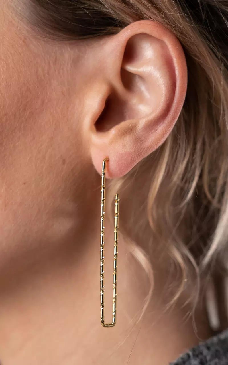 Rechthoekige oorbellen van stainless steel Goud