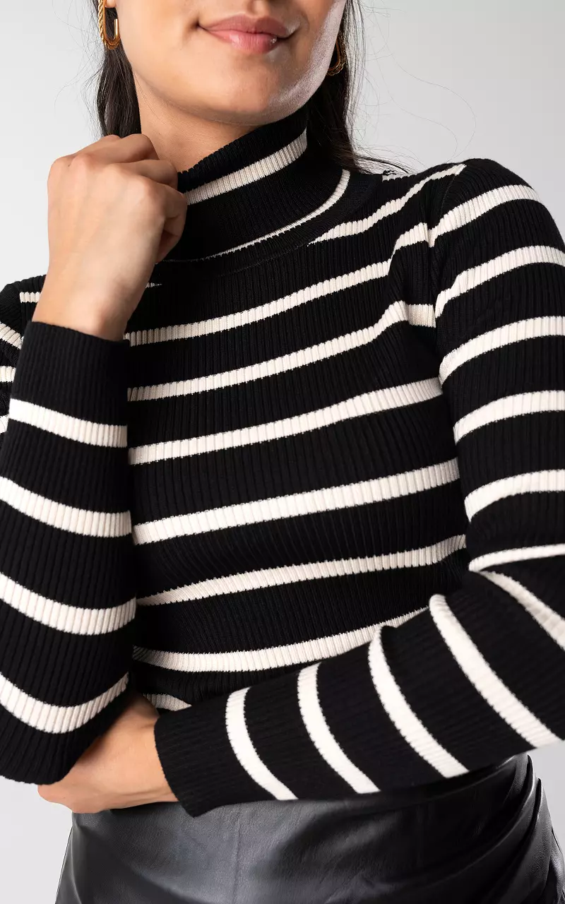 Ribbed turtleneck sweater with stripes Black Beige