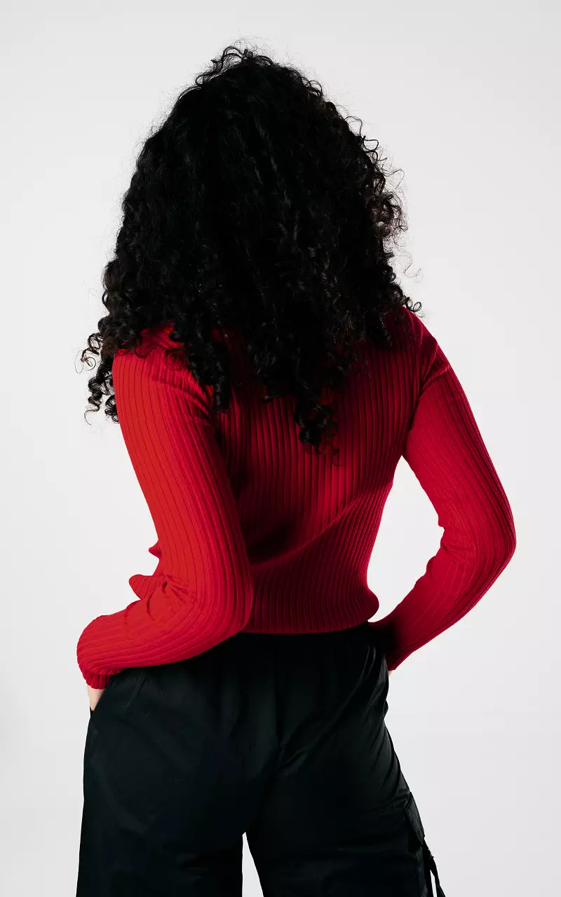 Basic ribbed turtleneck sweater Red