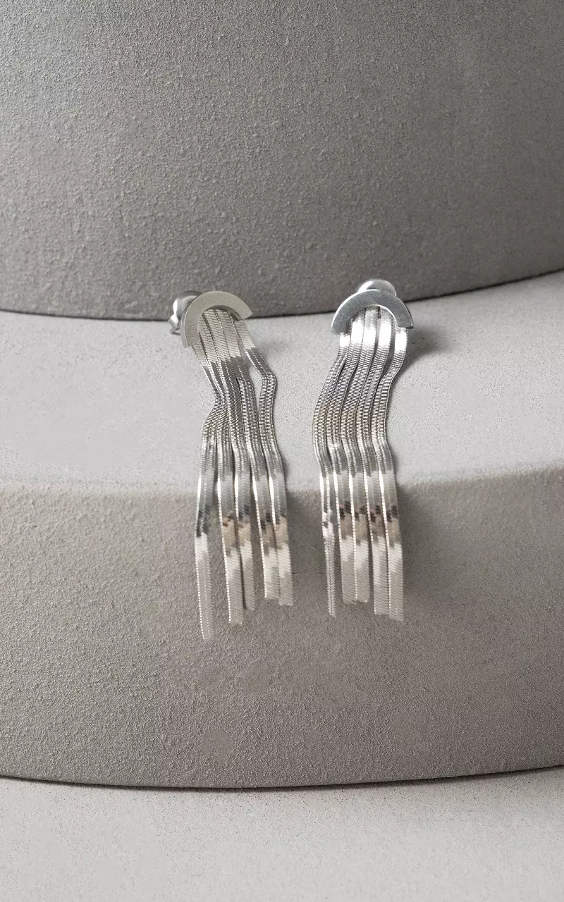 Stainless steel long earrings Silver