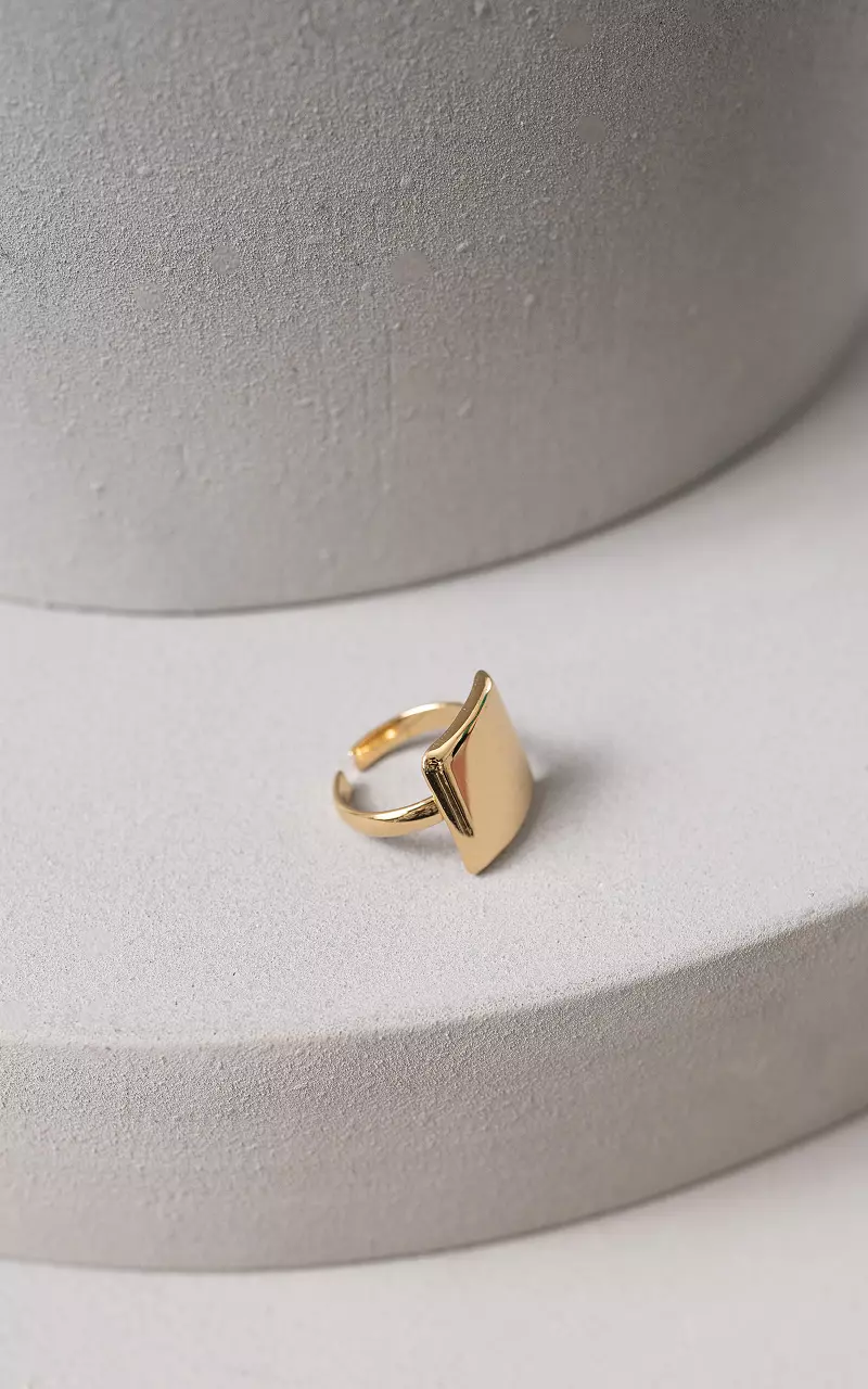 Adjustable ring from stainless steel Gold