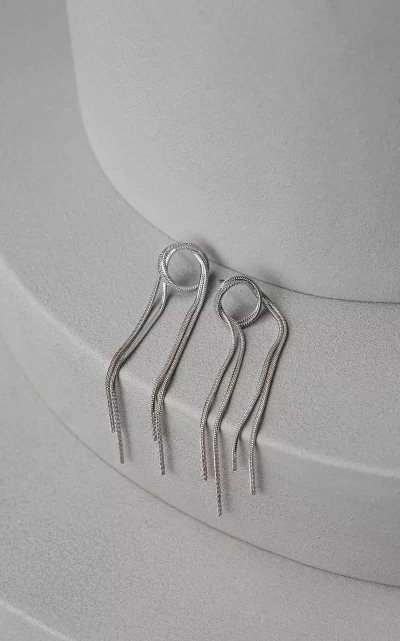 Stainless steel long earrings Silver