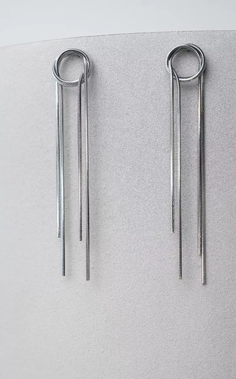 Lange oorbellen van stainless steel Zilver