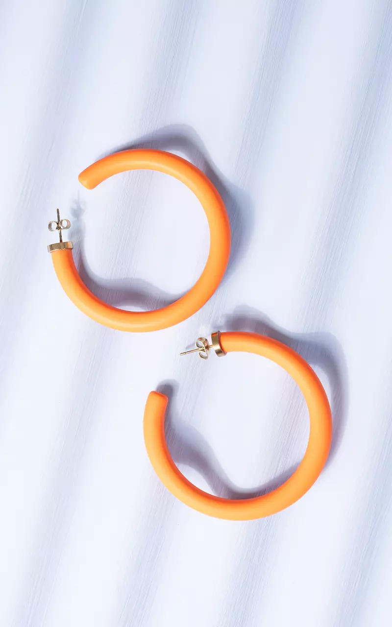 Ronde oorstekers van stainless steel Oranje