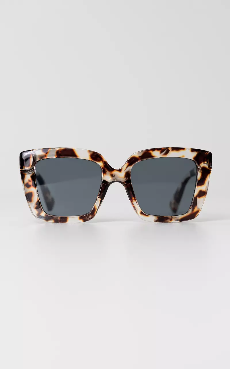 Sunglasses with polarized glasses Dark Brown Transparent