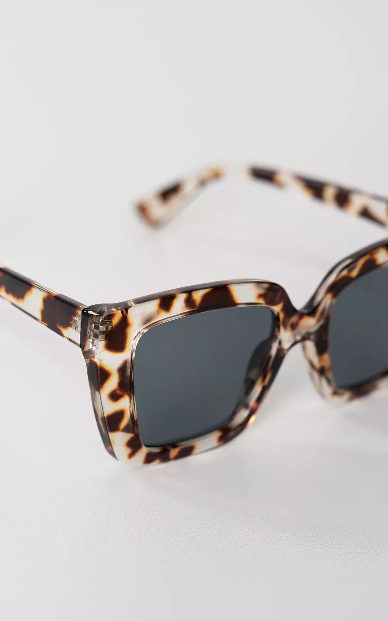 Sunglasses with polarized glasses Dark Brown Transparent
