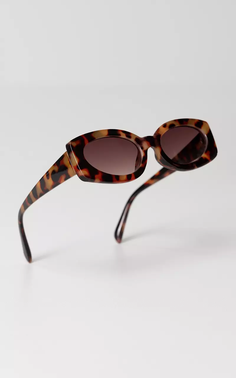 Sunglasses with polarized glasses Dark Brown
