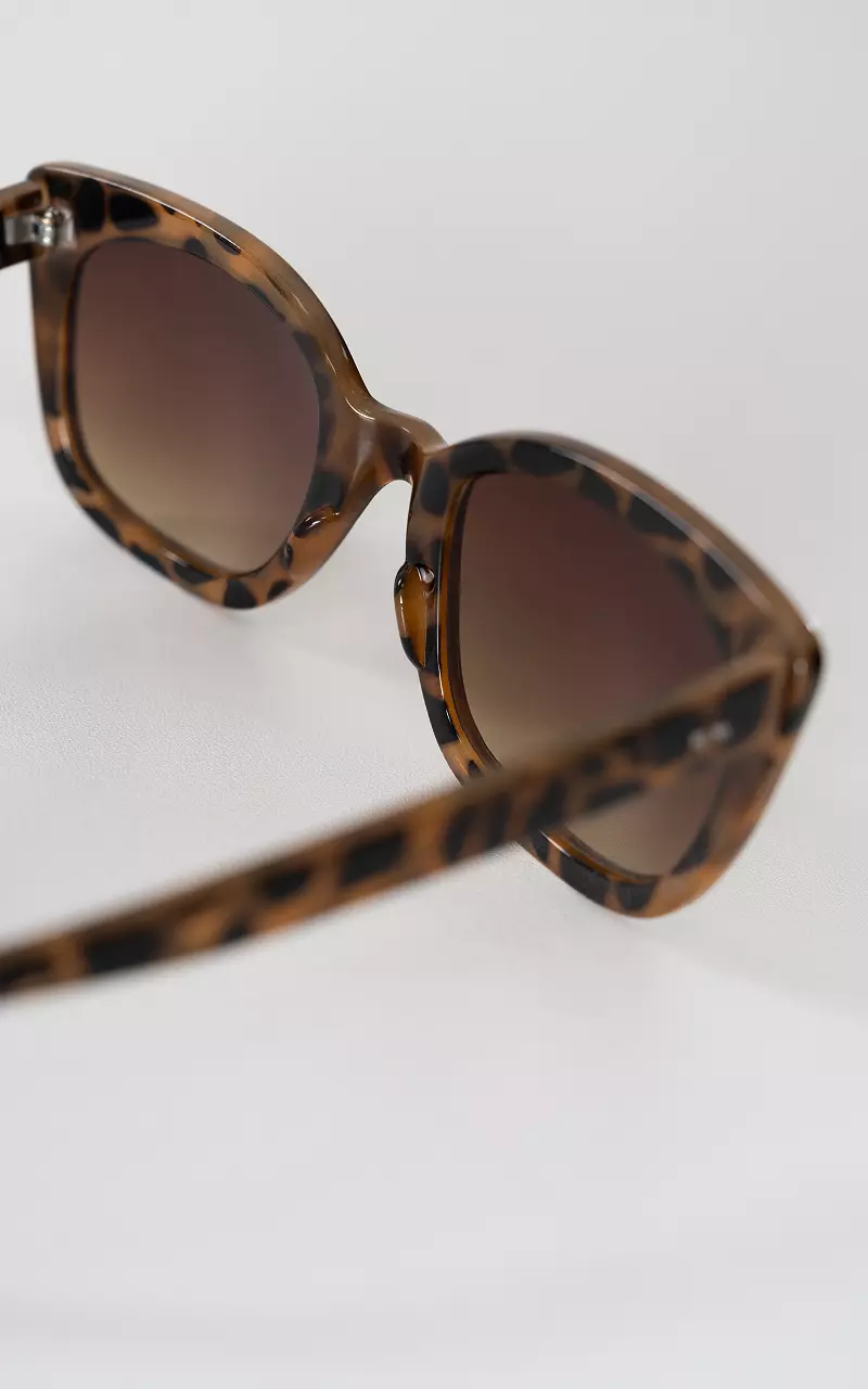 Tortoise brown sunglasses Dark Brown