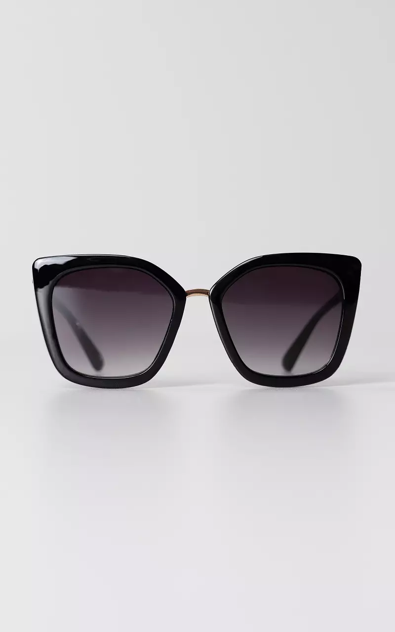 Sunglasses with polarized glasses Black