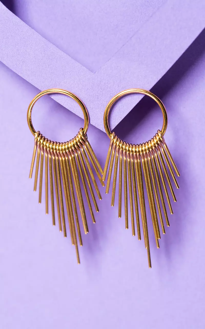 Stainless steel earrings - Gold | Guts & Gusto