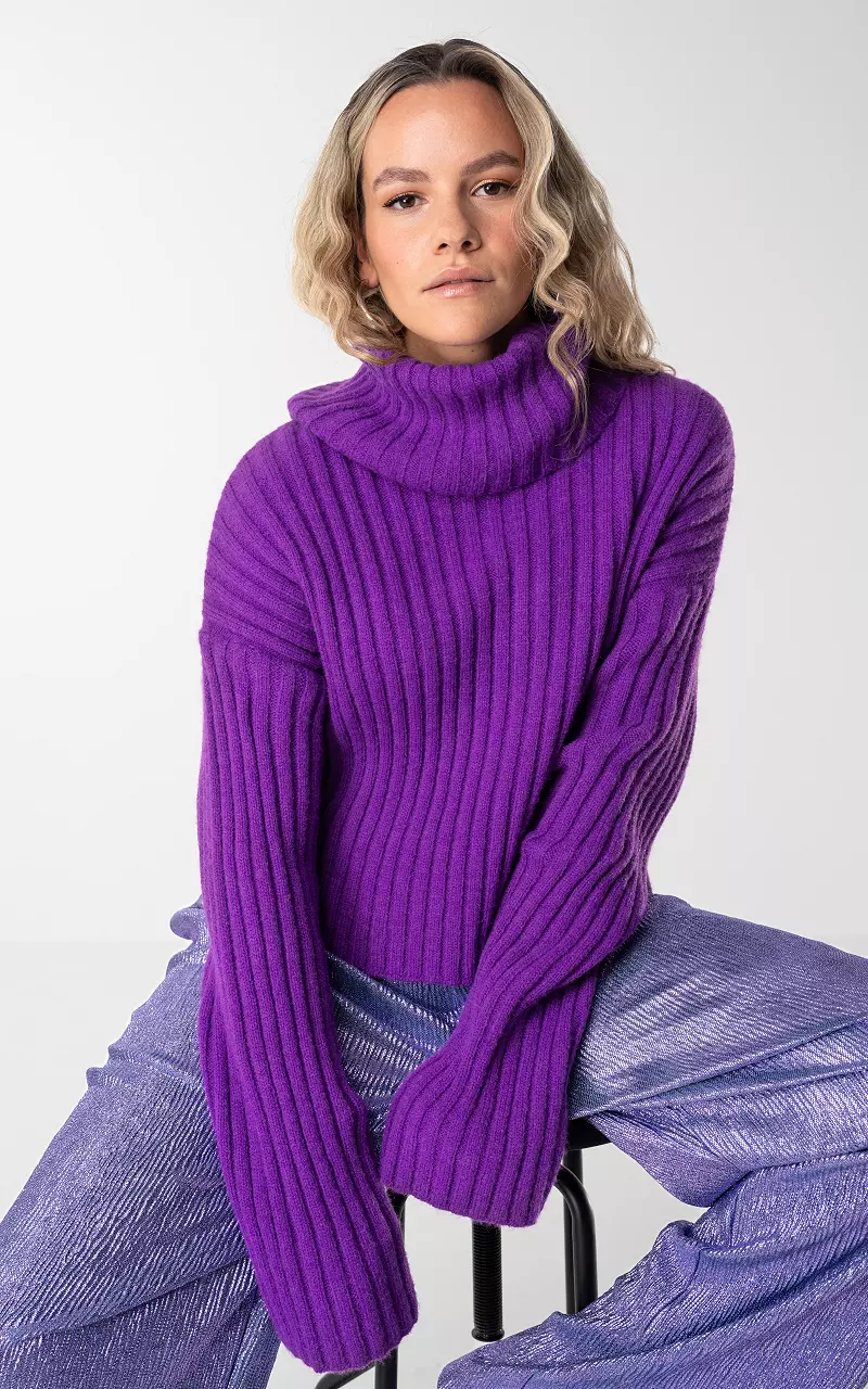 Short model sweater with turtle neck Purple