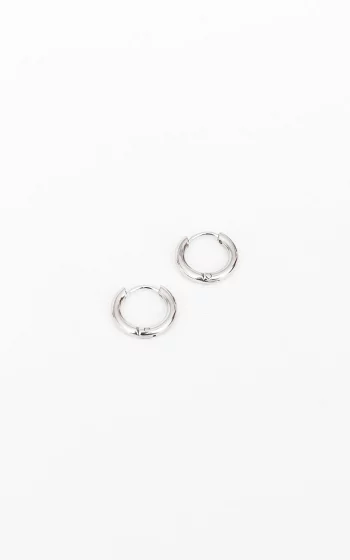 Small stainless steel earrings silver