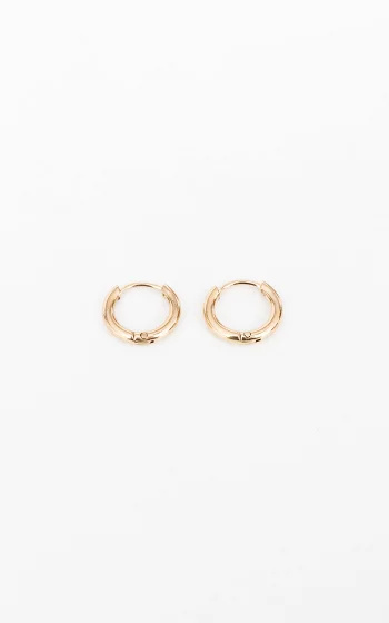 Small stainless steel earrings gold