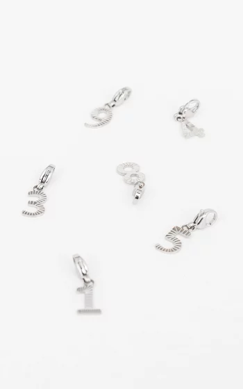 Charm number silver