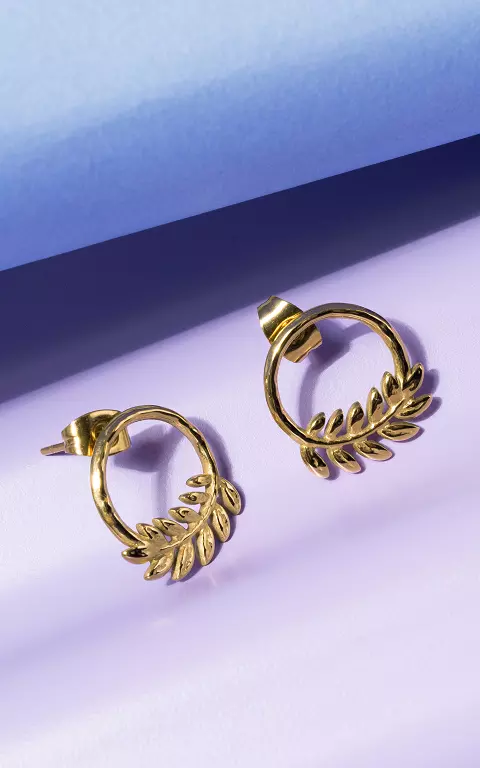 Ohrringe aus Edelstahl gold