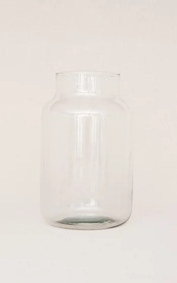 Clear glass vase white