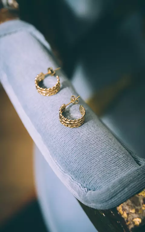 Stainless steel hoop earrings gold