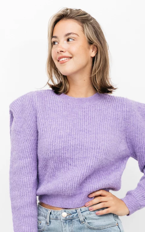 Knitted sweater with round neck purple