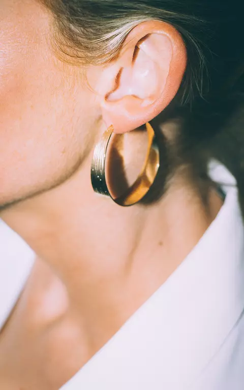 Creole earrings of stainless steel 