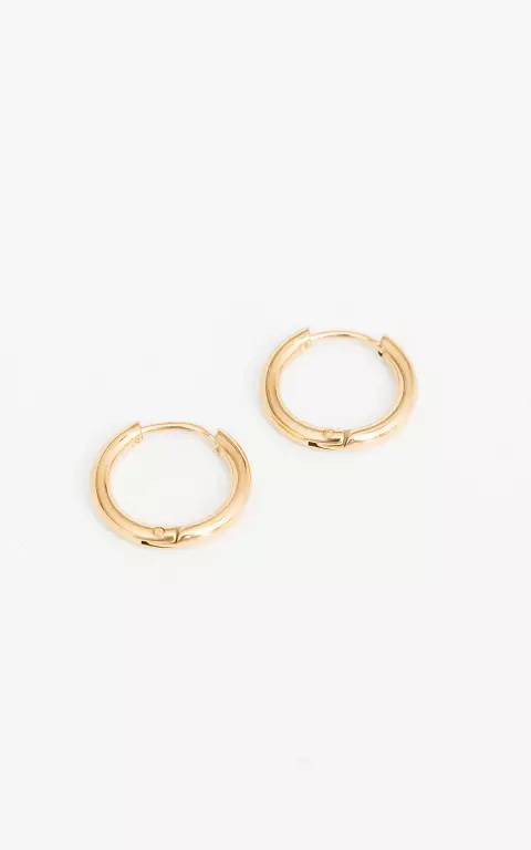 Small earrings of stainless steel gold
