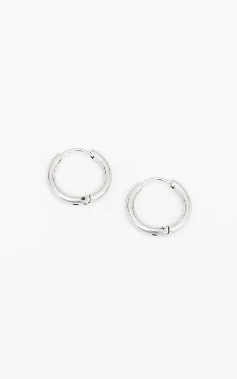 Small earrings of stainless steel silver