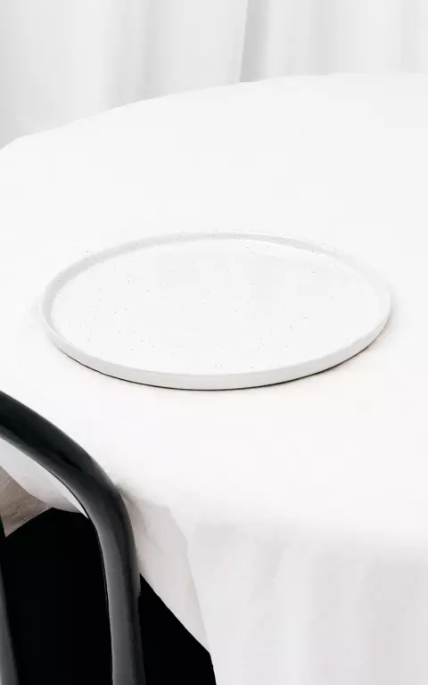Plate with small spots white grey