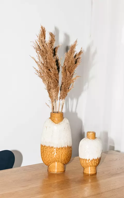 Two colored vase yellow ocher cream