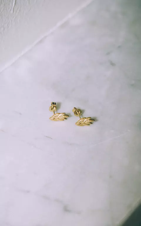 Stainless steel earrings with leaf gold