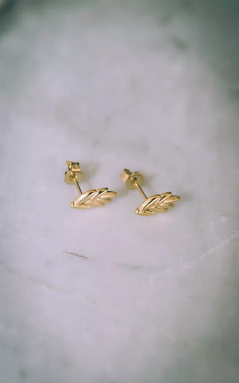 Stainless steel earrings with leaf gold