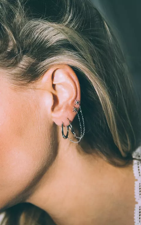 Stainless steel earrings silver