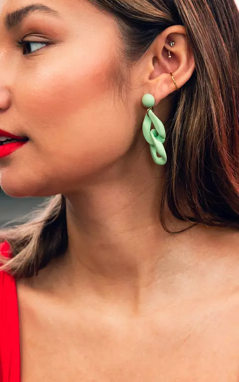 Stainless steel earrings mint
