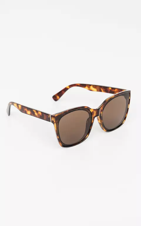 Sunglasses with synthetic frame dark brown